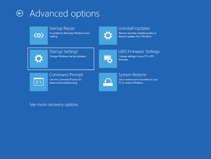 Advanced options screen of the 'Advanced Boot Menu'.