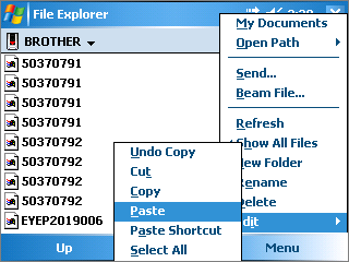 Paste the selected files to the external storage