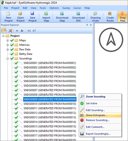 The echogram can be accessed from the Project Explorer