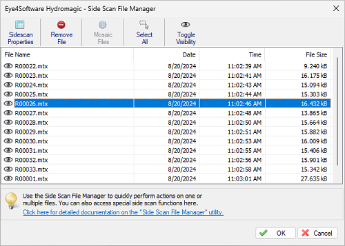 The Side Scan File Manager shows a list of side scan files in the project